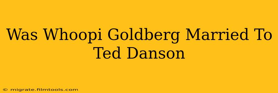 Was Whoopi Goldberg Married To Ted Danson